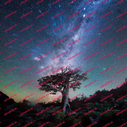 Daniel Kordan Photography - Patagonia Night Sky Panorama Baobab Daniel Kordan Photography - Patagonia Night Sky Panorama Baobab - Image 1