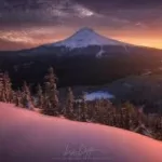 RYAN DYAR Photography - Textures and Mood