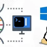 Master the Command Line: From FASTQ to VCF for NGS Analysis