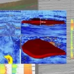 Prospect Maturation: Seismic Interpretation for Hydrocarbon