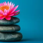 Feng Shui Certification: Transform Spaces, Transform Lives
