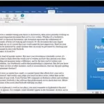 PerfectIt Pro 6.3.0