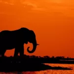Complete PostgreSQL And PostGIS Course