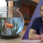 Create A Stylized 3D Fishbowl -Modeling, Shading & Rendering