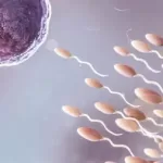 Materclass To Boost Sperm Count Naturally
