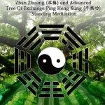 The Origins of Baguazhang Nei Kung and Dragon Gate Taoism: Zhan Zhuang and Advanced Tree Qi-Exchange Ping Heng Kung Meditation
