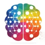 Foundations of Neurology: Understand the Nervous System