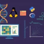 Advanced Transcriptomics: lncRNA, miRNA & Psi-Seq Analysis