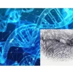 Dna Fingerprinting