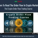 OrderFlows - Crypto Order Flow Trading Course - Mike Valtos
