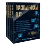 Practical Endgame Play