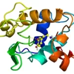 Structural Bioinformatics: Molecular Docking Masterclass