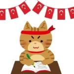Turkish From Scratch: Learn Turkish with 500 Basic Sentences