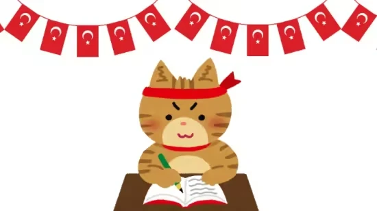 Turkish From Scratch Learn Turkish with 500 Basic Sentences Turkish From Scratch: Learn Turkish with 500 Basic Sentences - Image 1