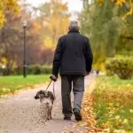 30-Day Calm Walking Challenge (Dog Training)