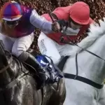 Betfair In-Play Horse Racing Trading