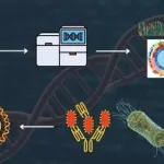 Bioinformatics WGS Applications In Bacterial Surveillance