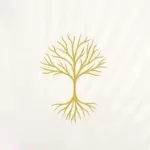Calm Your Nervous System: Practical Tools For Daily Stress