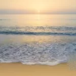 Cultivating Self Compassion 14-Day Course