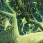 Deep Learning: Recurrent Neural Networks In Python by Lazy Programmer Team
