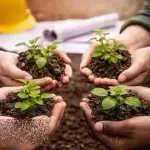 Green Project Manager (GPM) Certification Prep - Video+Exams