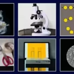 Home Biology Lab 101