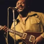 Lick Library - Albert King Guitar Lessons