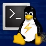 Mastering Text Processing with Grep, Sed and Awk