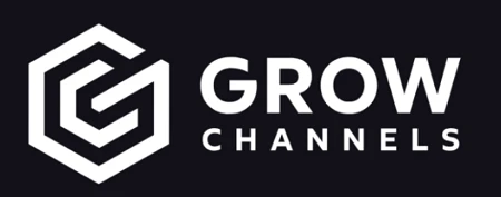 Razvan Paraschiv - Grow Channels Accelerator Razvan Paraschiv - Grow Channels Accelerator - Image 1