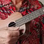 Ukulele Chord Melody Beginners Course