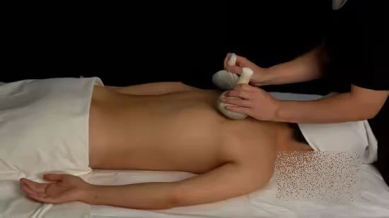 Ayurvedic Pitta Balancing SPA Protocol Ayurvedic Pitta Balancing SPA Protocol - Image 1