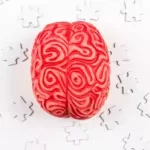Overcoming Cognitive Biases for Smarter Decision Making