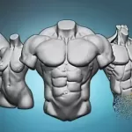 Torso anatomy exercises course