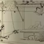 AI Engineering 2026: ChatGPT, RAG & Agentic Systems