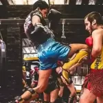 Ultimate Pro Shadow Boxing And MMA Certification Masterclass