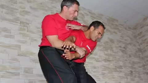 WingTsun Technician Level 3 WingTsun Technician Level 3 - Image 1