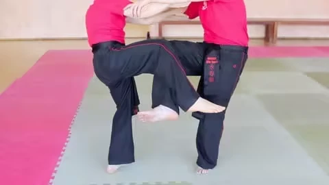 WingTsun Technician Level 4 WingTsun Technician Level 4 - Image 1