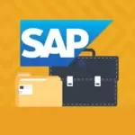 Sap Business One B1 Advance Professional Training