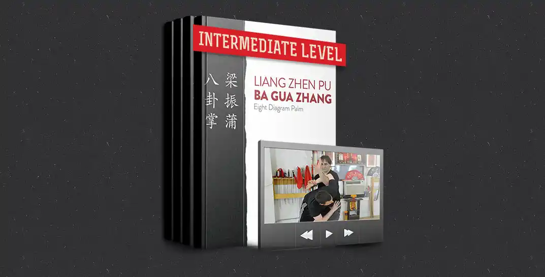 Tom Bisio - Intermediate Bagua Online Course Tom Bisio - Intermediate Bagua Online Course - Image 1