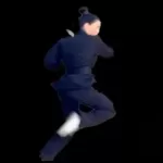 Wing Chun Butterfly Knives Master Certification Course